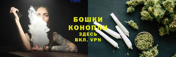 дживик Балахна