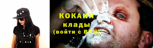 амф Верея