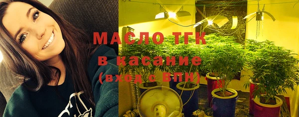 амф Верея