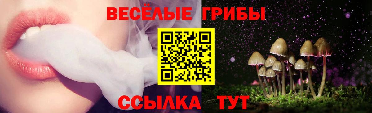 Галлюциногенные грибы мицелий  Вход с VPN  Зима 
